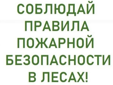 Огонь в лесу: что делать, если ты увидел дым?.